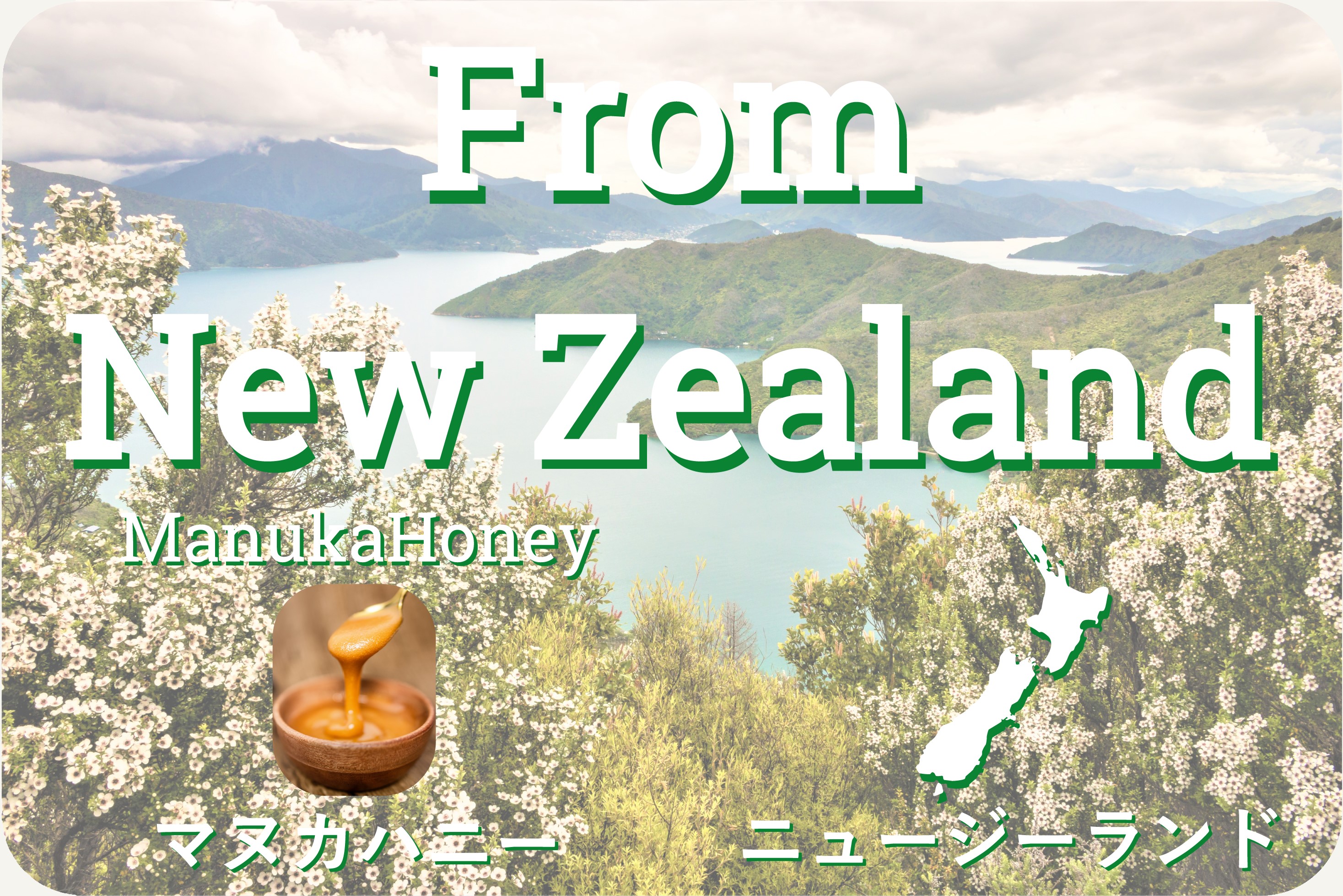 ニュージーランド マヌカハニー